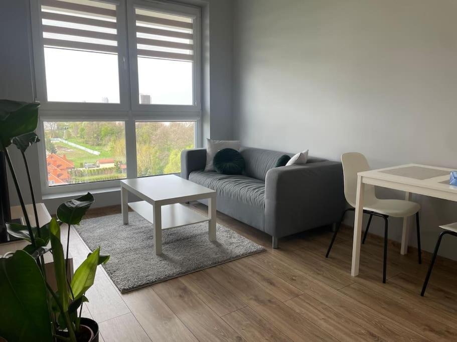 Vip Witolda Apartment *