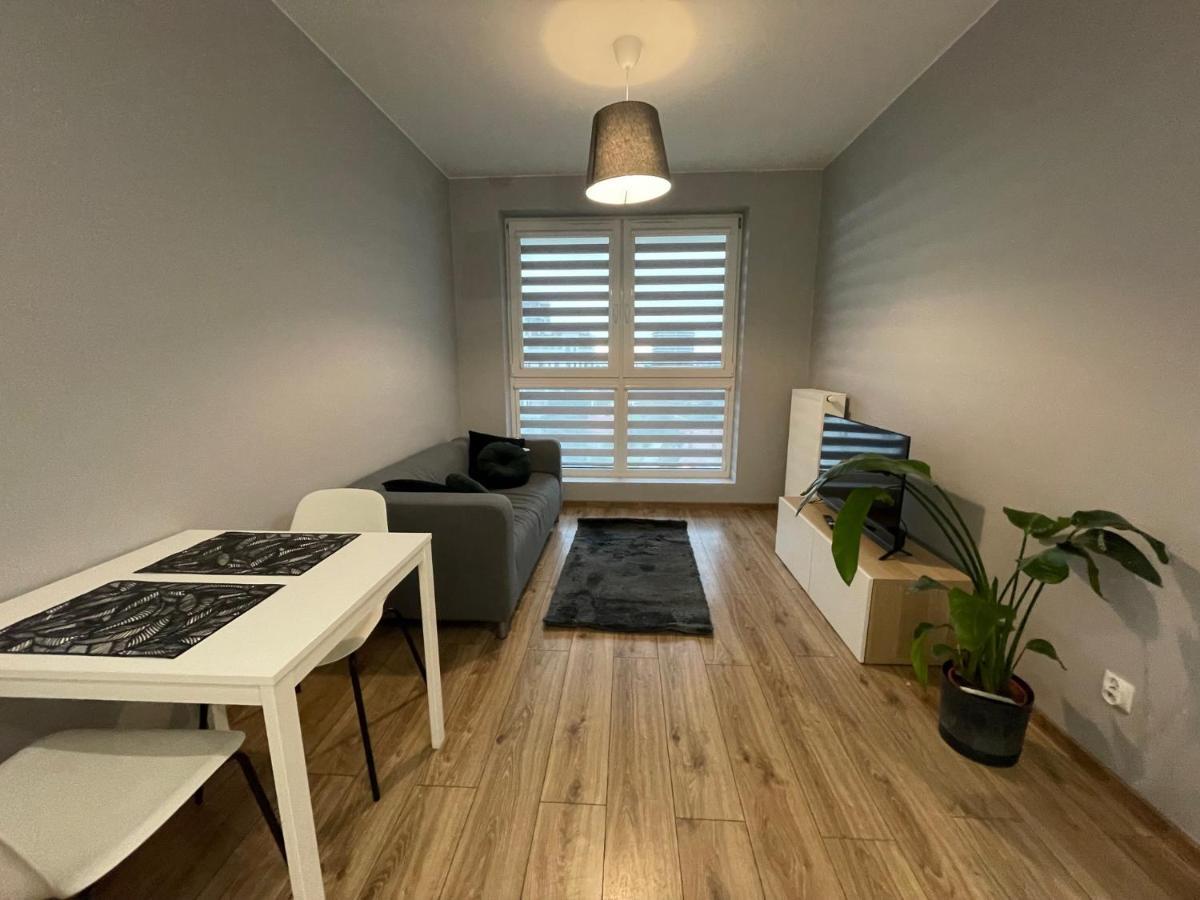 Vip Witolda Apartment Rzeszow